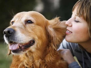 Comprehensive pain alleviation in animals